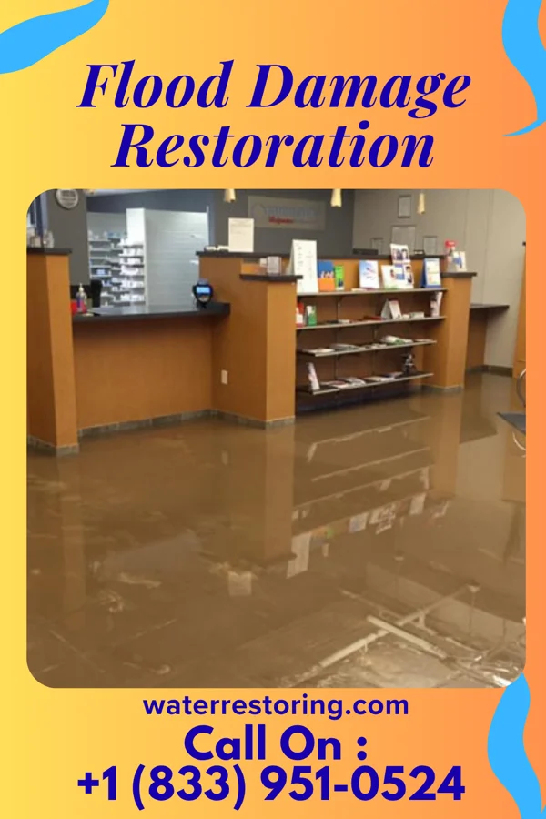 Flood Damage Restoration in Ponchatoula, LA
