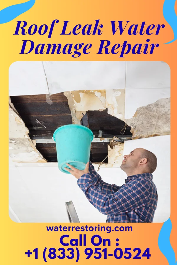 Roof Leak Water Damage Repair in Ponchatoula, LA