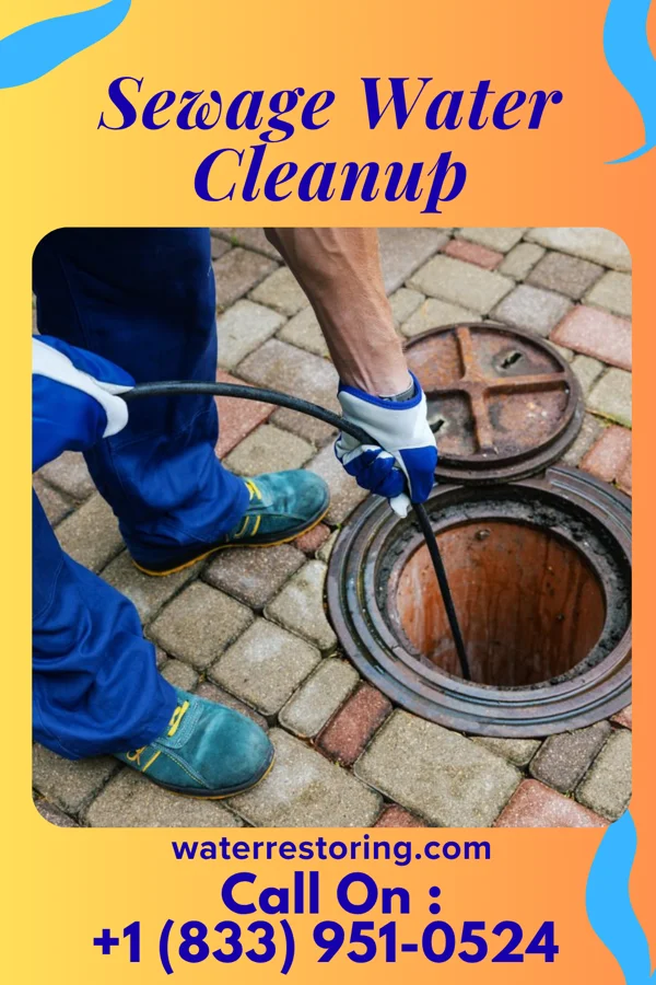 Sewage Water Cleanup in Ponchatoula, LA