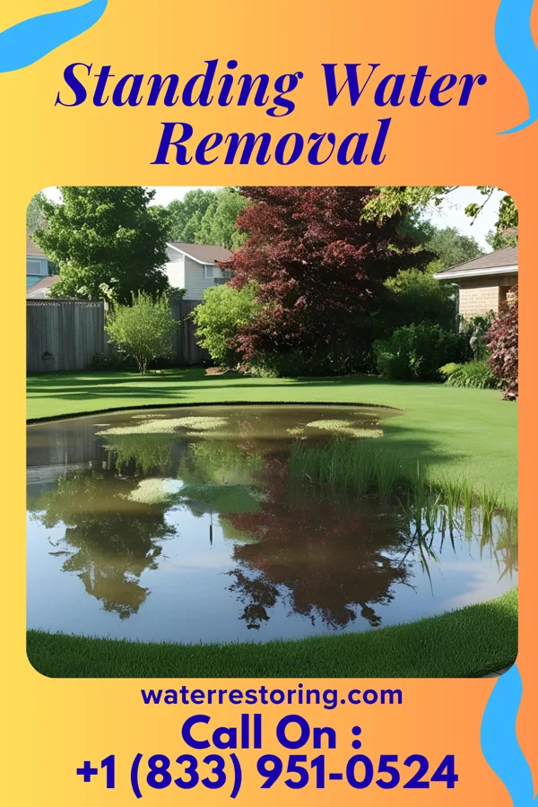 Standing Water Removal in Ponchatoula, LA